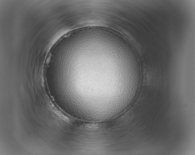 X0000077281182200610271451