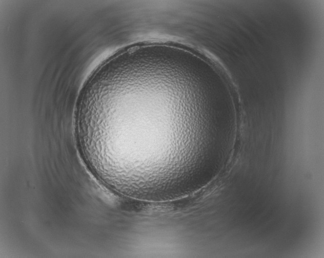 X0000077281183200610271451