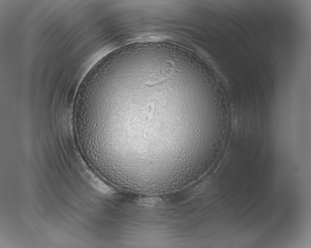 X0000077281186200610271451