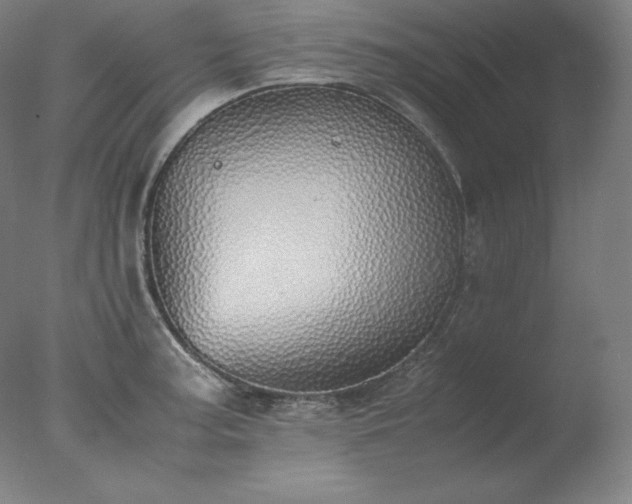 X0000077281187200610271451
