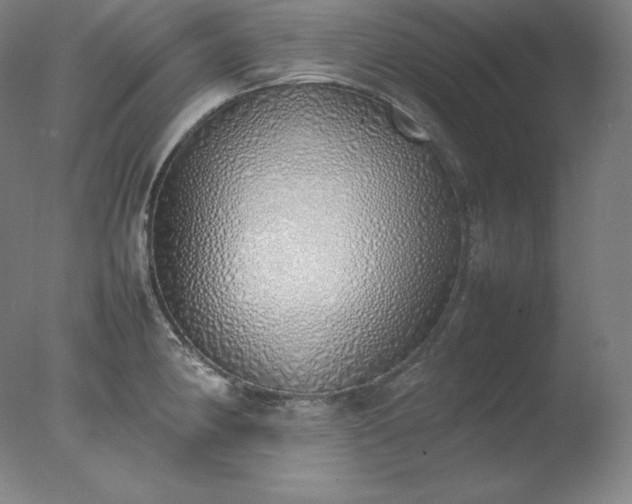 X0000077281190200610271450