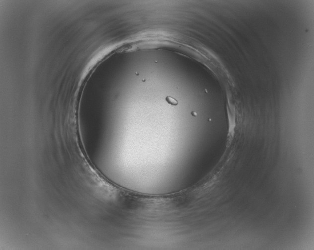 X0000077281192200610271450