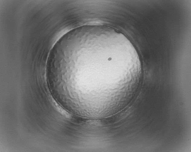 X0000077281194200610271450