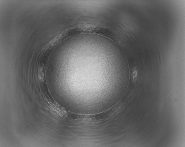 X0000077281204200610271450