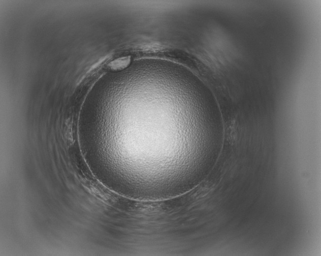 X0000077281205200610271450