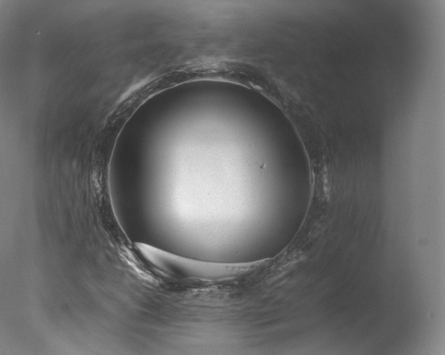 X0000077281206200610271450