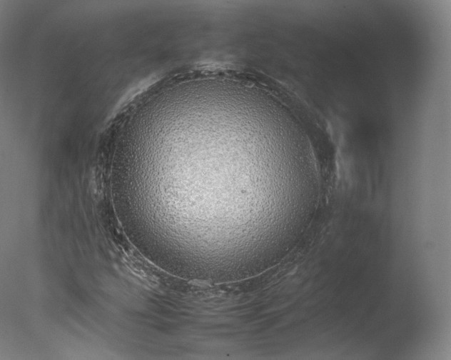X0000077281207200610271450