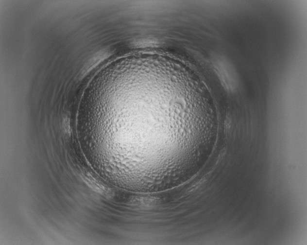 X0000077281209200610271450