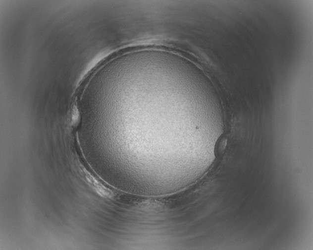 X0000077281216200610271450