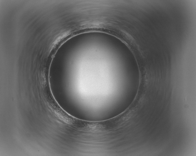 X0000077281218200610271450