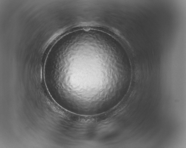 X0000077281221200610271450