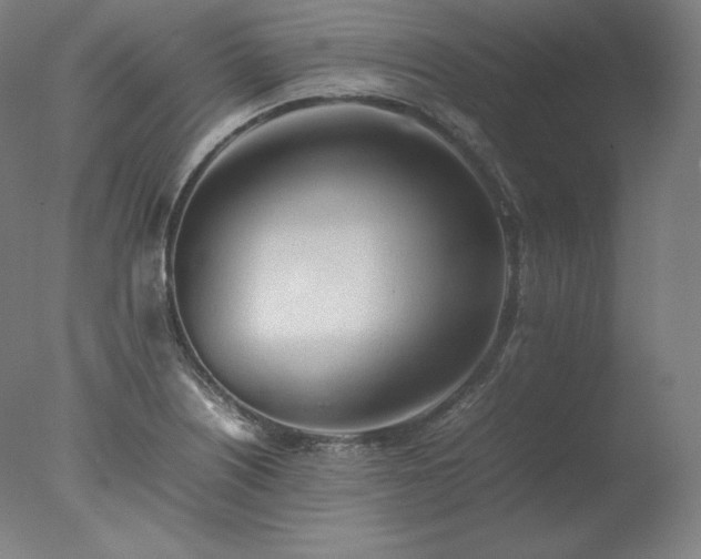 X0000077281226200610271450