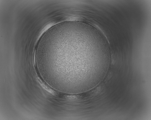X0000077281227200610271450