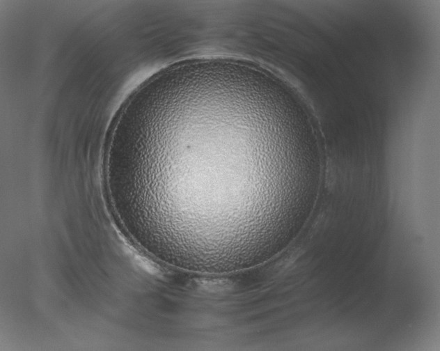 X0000077281231200610271450