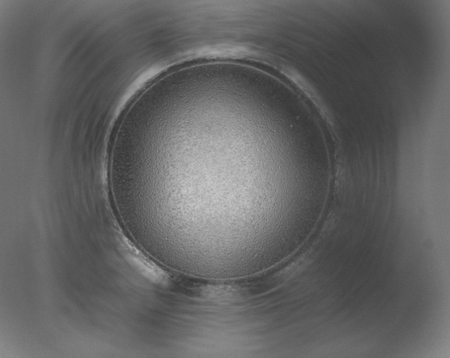 X0000077281232200610271450