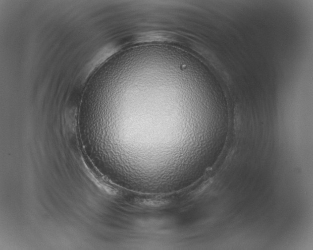 X0000077281233200610271450