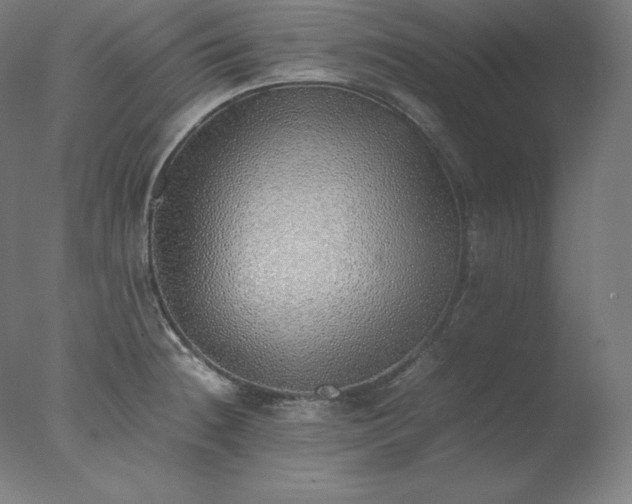 X0000077281236200610271450