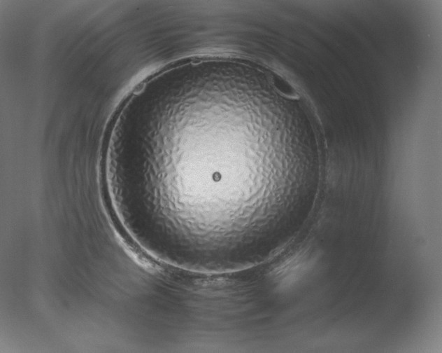 X0000077281237200610271450