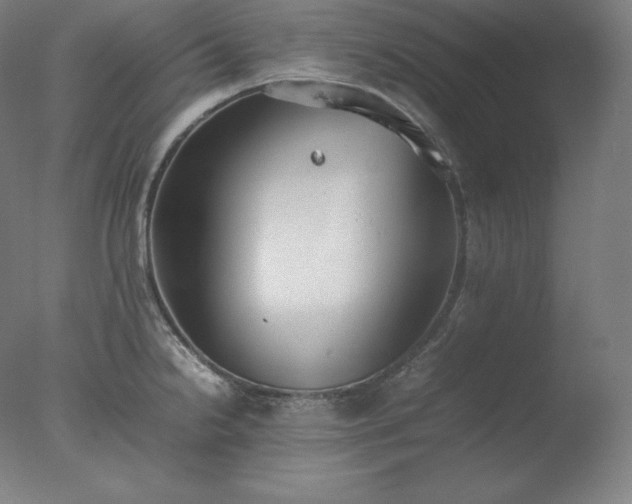 X0000077281238200610271450