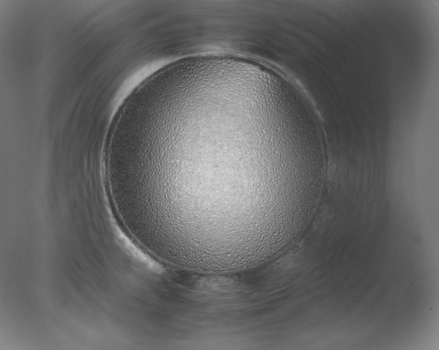 X0000077281239200610271450