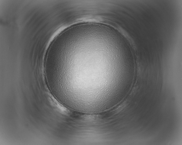 X0000077281240200610271450