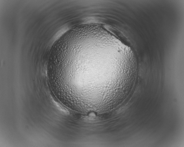 X0000077281241200610271450