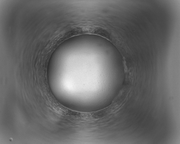 X0000077281249200610271449