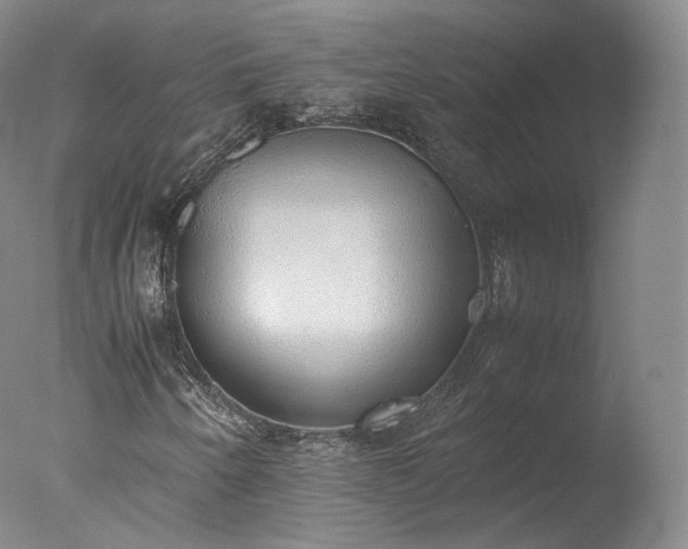 X0000077281250200610271449