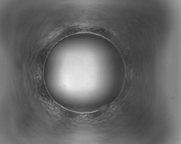 X0000077281253200610271449
