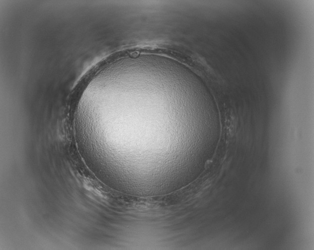 X0000077281256200610271449