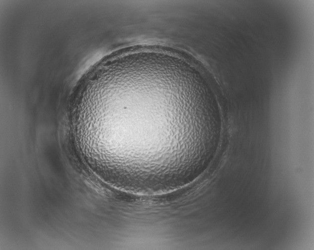 X0000077281263200610271449