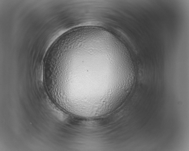 X0000077281276200610271449