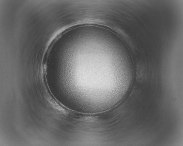 X0000077281280200610271449