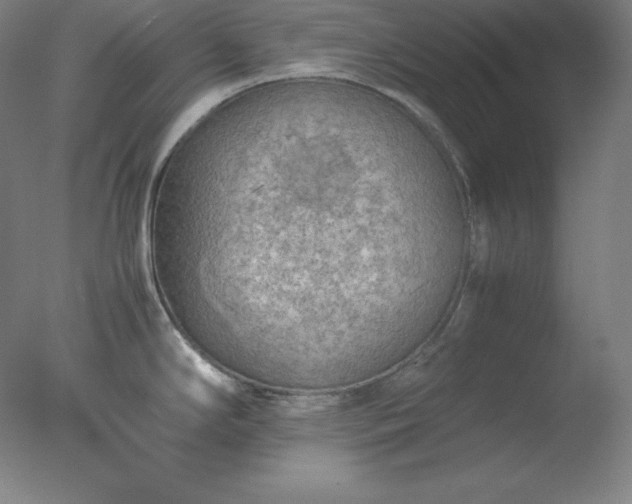 X0000077281294200610271449