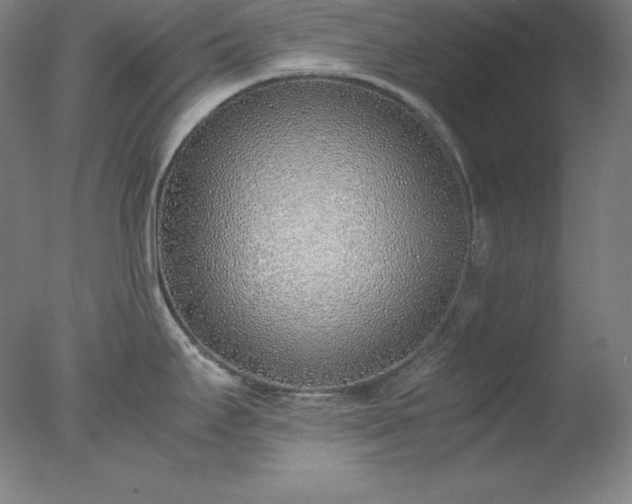X0000077281295200610271449