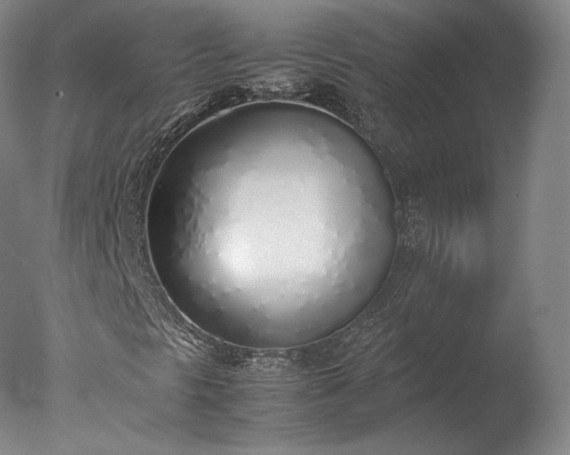 X0000077281297200610271448