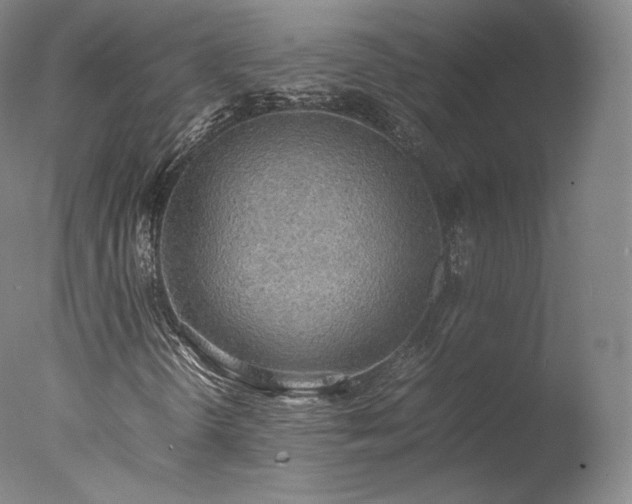 X0000077281298200610271448