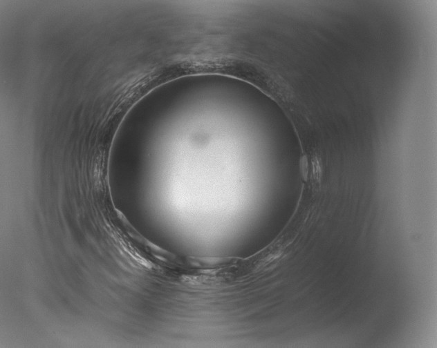 X0000077281300200610271448