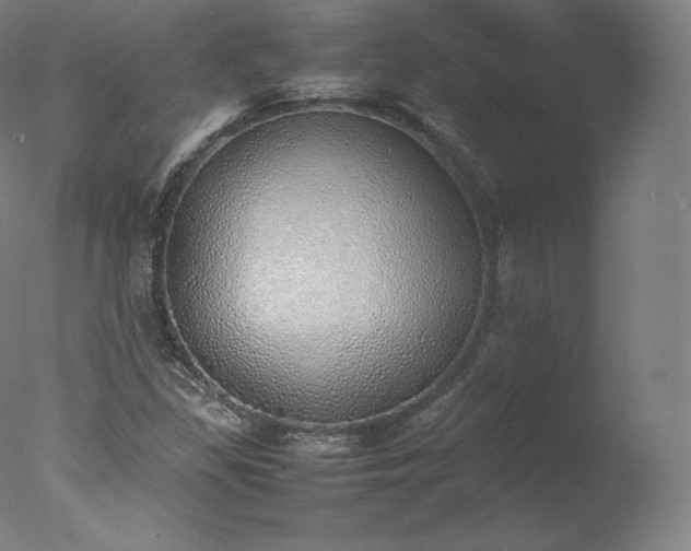 X0000077281309200610271448