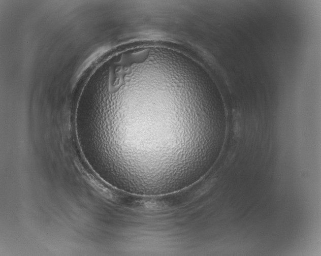 X0000077281318200610271448