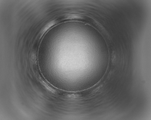 X0000077281321200610271448