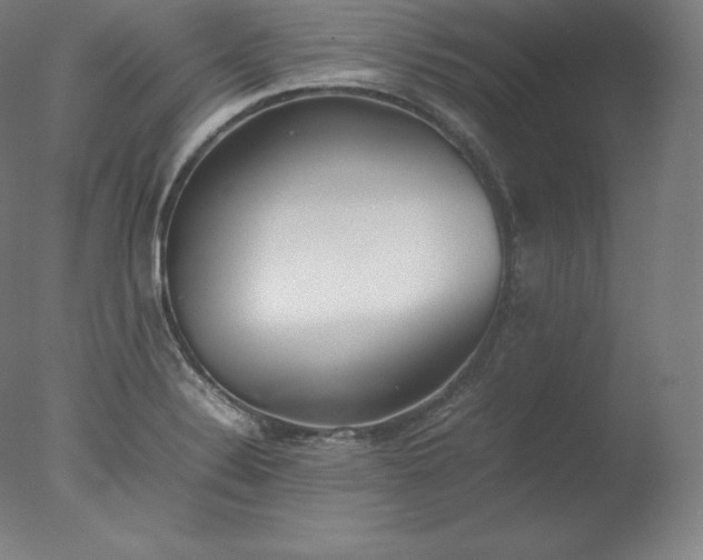 X0000077281324200610271448