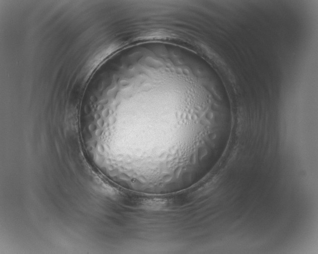 X0000077281329200610271448