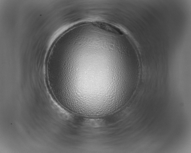 X0000077281335200610271449
