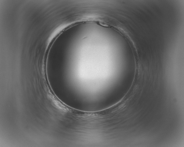 X0000077281336200610271449