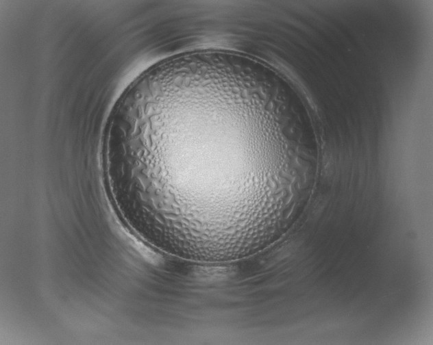 X0000077281339200610271449