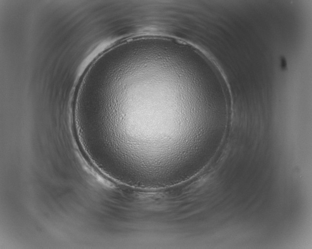 X0000077281341200610271449