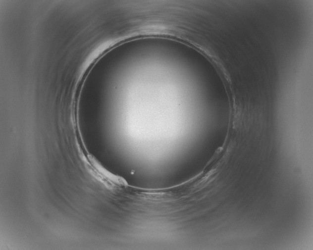 X0000077281342200610271449