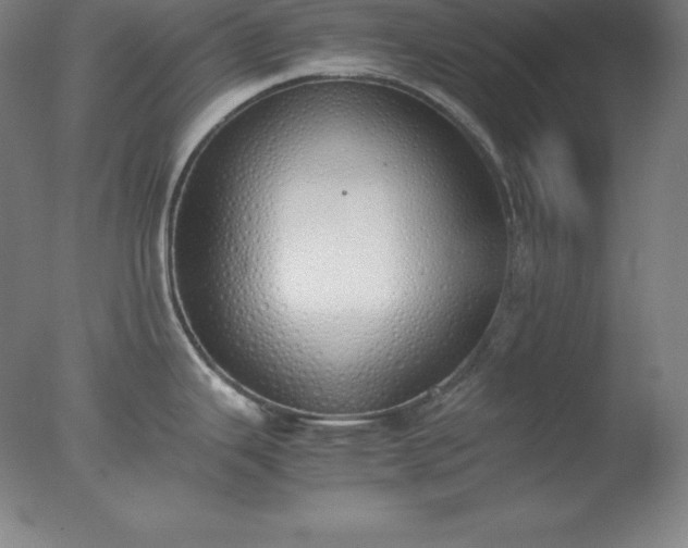 X0000077281343200610271449