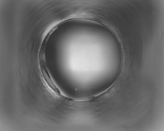 X0000077281344200610271449
